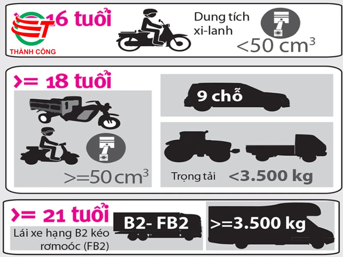 Quy định độ tuổi thi bằng lái xe ô tô